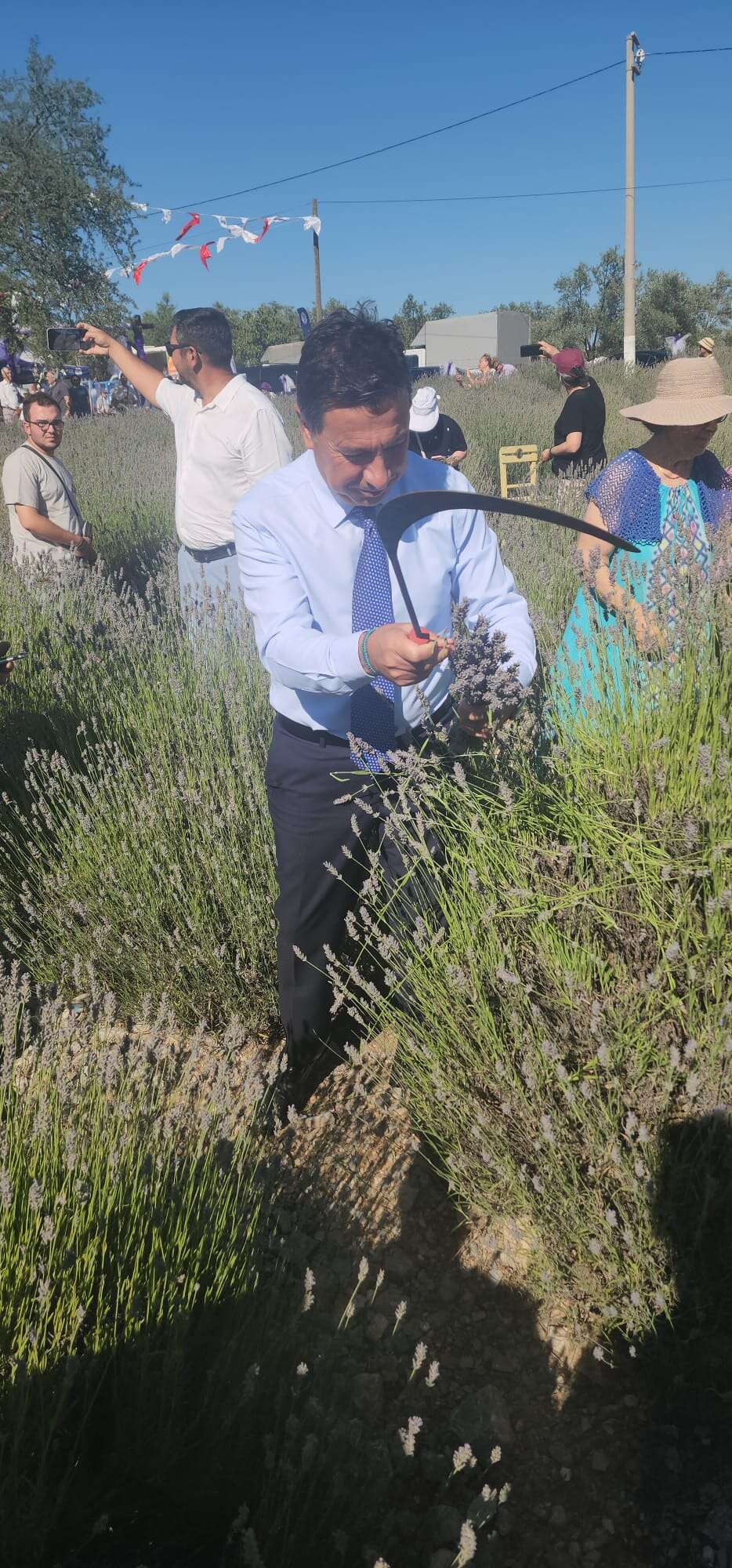 Muğla'da Koku Vadisi Lavanta Hasat Şenliği Coşkusu Başkan Ahmet Aras: "Bu Koku Üreten Muğla'nın Kokusudur" 1